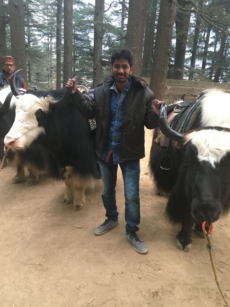 Photo of Manali, Himachal Pradesh, India by Manoj Konduru