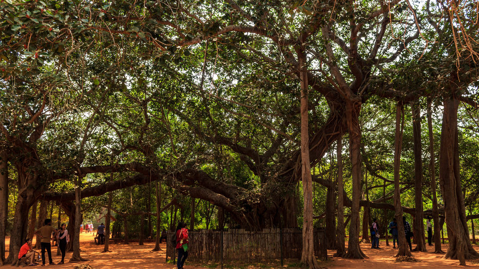 Photo of Pondicherry.... confluence of food & culture ! by tlondhe