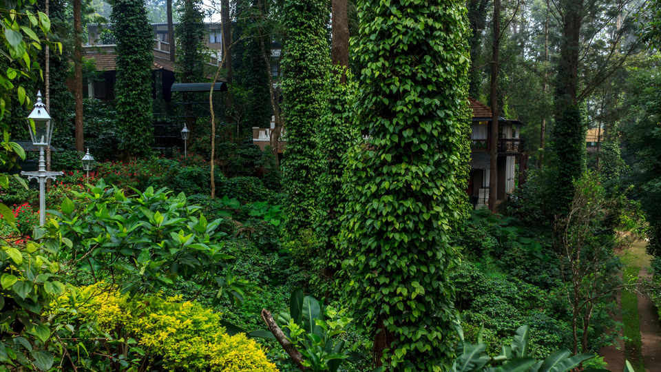 Photo of Yercaud, Tamil Nadu, India by tlondhe