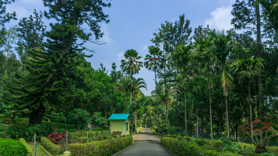 Photo of Yercaud, Tamil Nadu, India by tlondhe