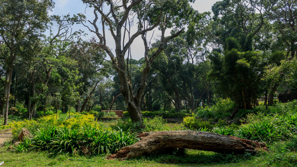 Photo of Yercaud ... a lesser know hill station down south #notinnorth by tlondhe