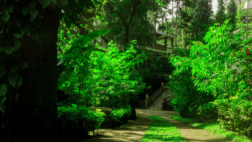 Photo of Yercaud, Tamil Nadu, India by tlondhe