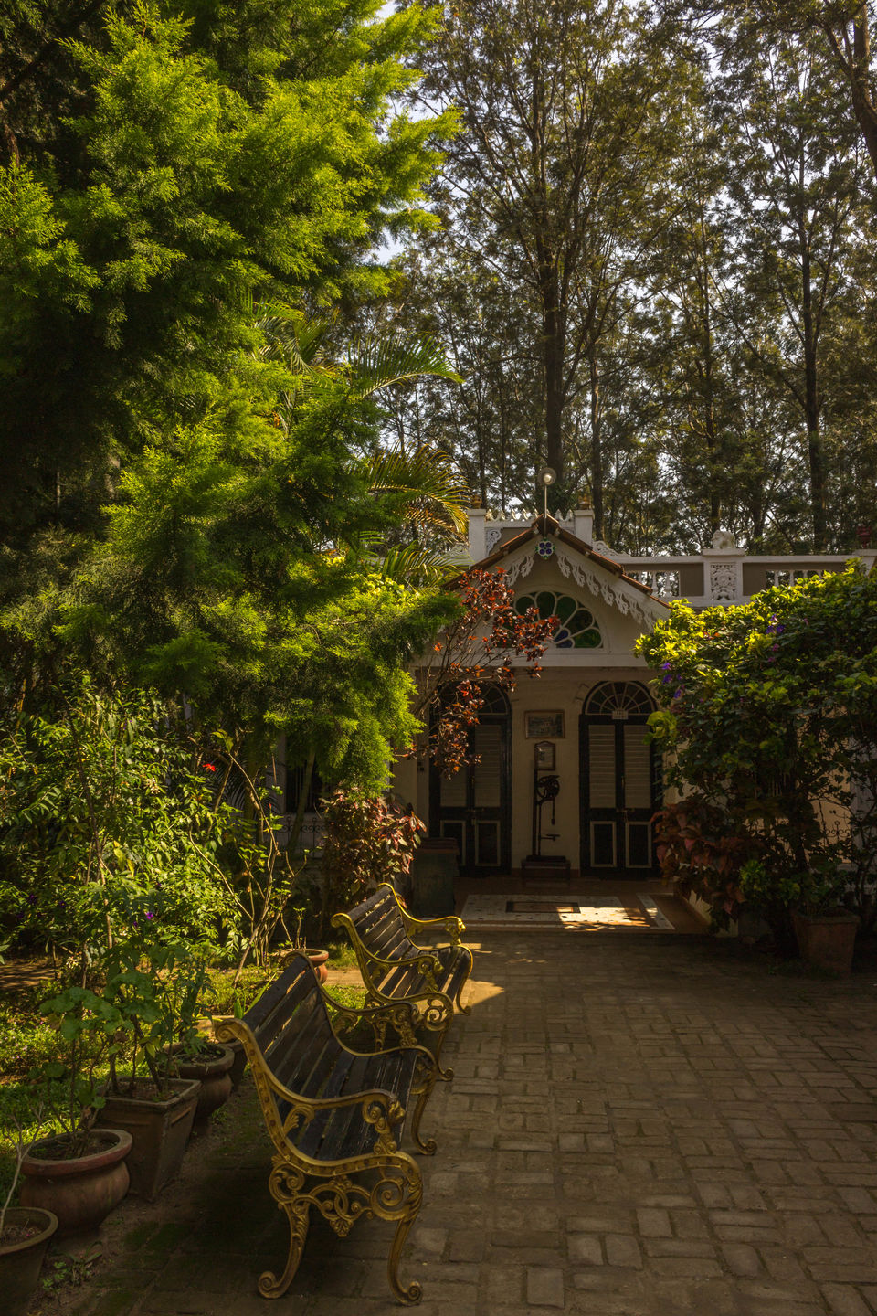 Photo of Yercaud, Tamil Nadu, India by tlondhe