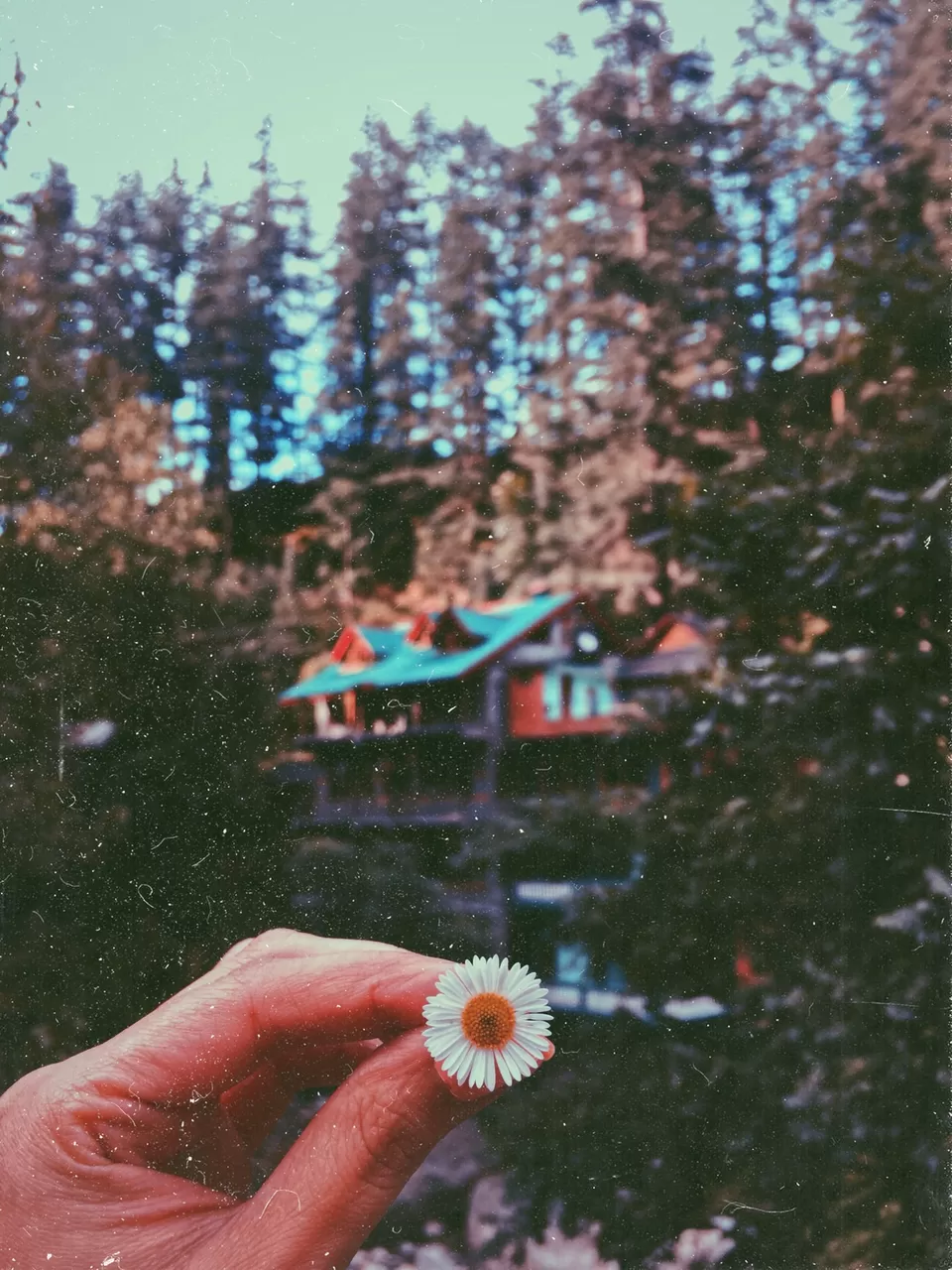 Photo of Jibhi, Himachal Pradesh, India by _nostamponpassport_