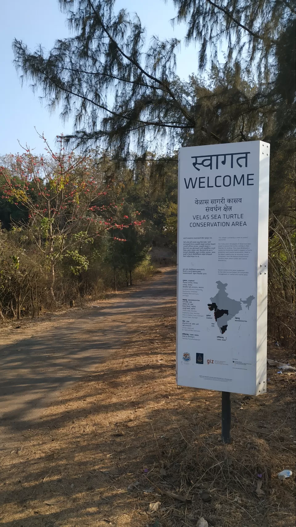Photo of The best solo trip for a Nature Lover in Maharashtra. Olive Ridley Turtles, Beautiful Beaches, etc by Subheg Singh