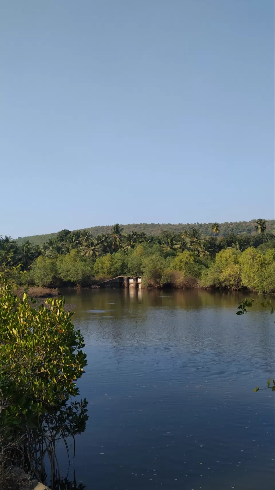 Photo of The best solo trip for a Nature Lover in Maharashtra. Olive Ridley Turtles, Beautiful Beaches, etc by Subheg Singh