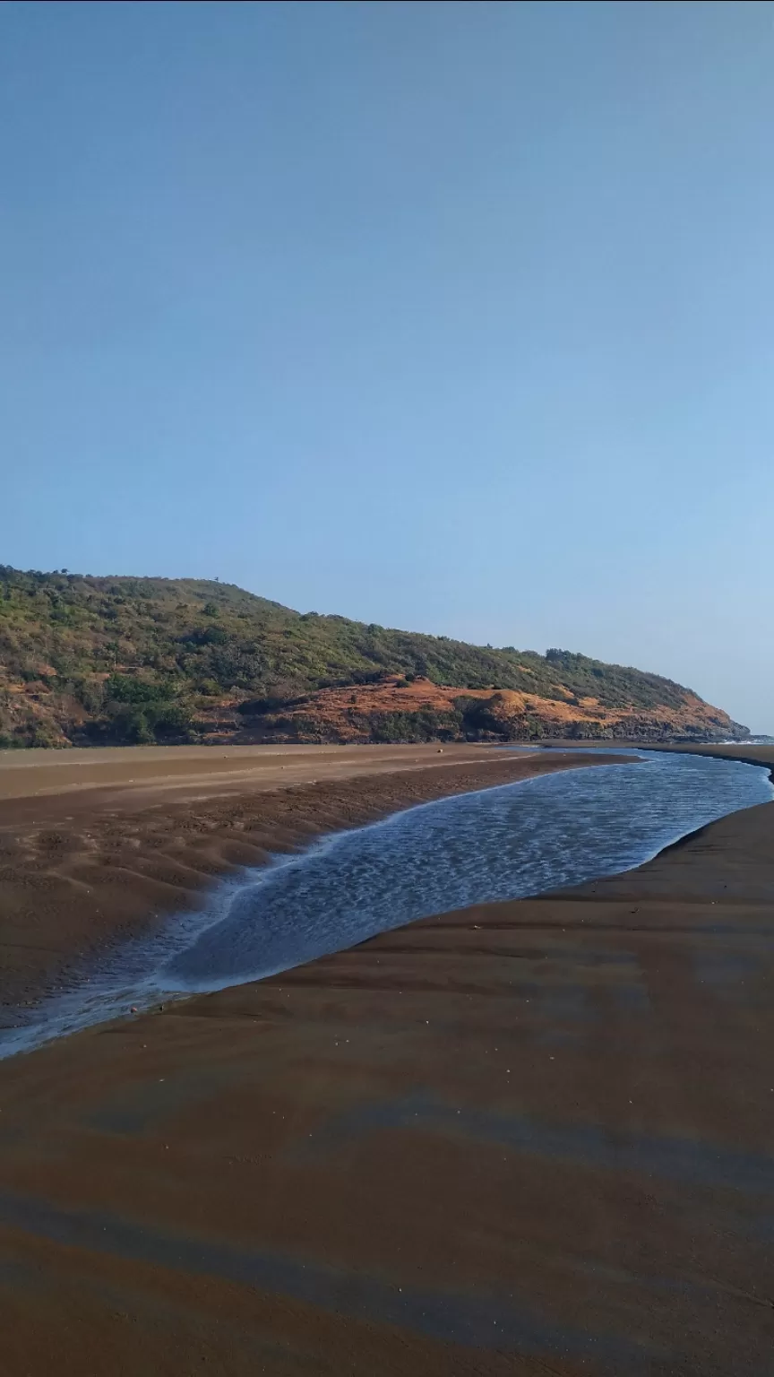 Photo of The best solo trip for a Nature Lover in Maharashtra. Olive Ridley Turtles, Beautiful Beaches, etc by Subheg Singh