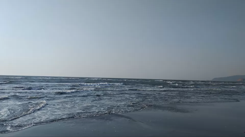 Photo of The best solo trip for a Nature Lover in Maharashtra. Olive Ridley Turtles, Beautiful Beaches, etc by Subheg Singh