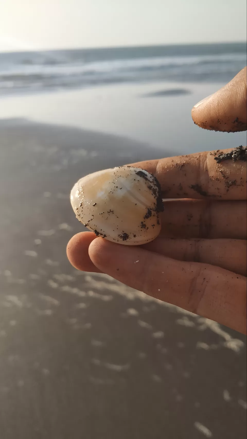 Photo of The best solo trip for a Nature Lover in Maharashtra. Olive Ridley Turtles, Beautiful Beaches, etc by Subheg Singh