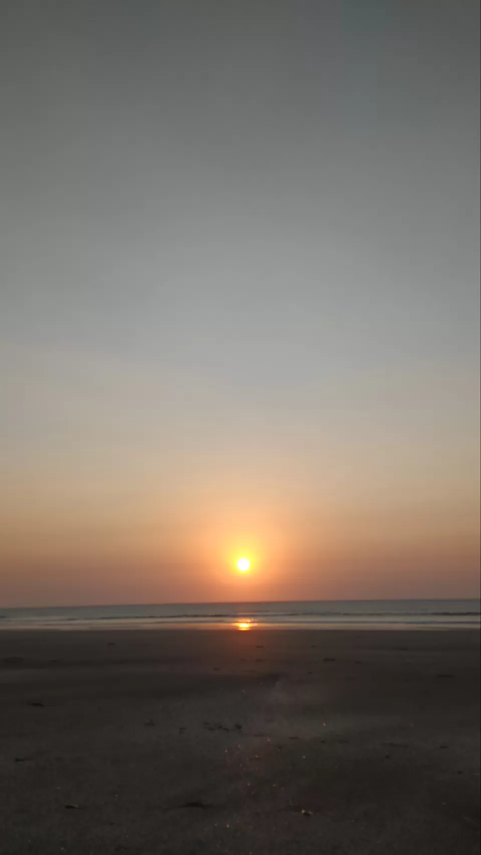 Photo of The best solo trip for a Nature Lover in Maharashtra. Olive Ridley Turtles, Beautiful Beaches, etc by Subheg Singh