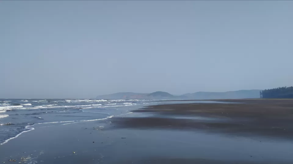 Photo of The best solo trip for a Nature Lover in Maharashtra. Olive Ridley Turtles, Beautiful Beaches, etc by Subheg Singh