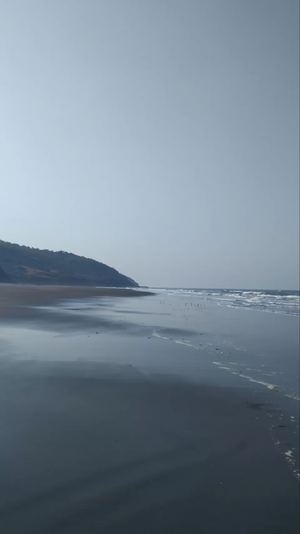 Photo of The best solo trip for a Nature Lover in Maharashtra. Olive Ridley Turtles, Beautiful Beaches, etc by Subheg Singh