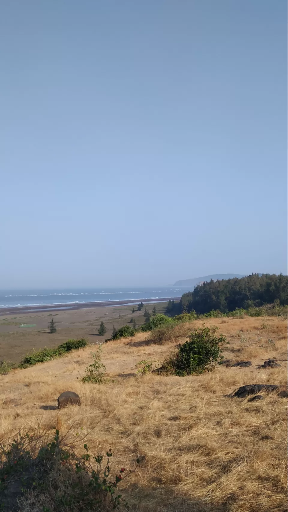 Photo of The best solo trip for a Nature Lover in Maharashtra. Olive Ridley Turtles, Beautiful Beaches, etc by Subheg Singh