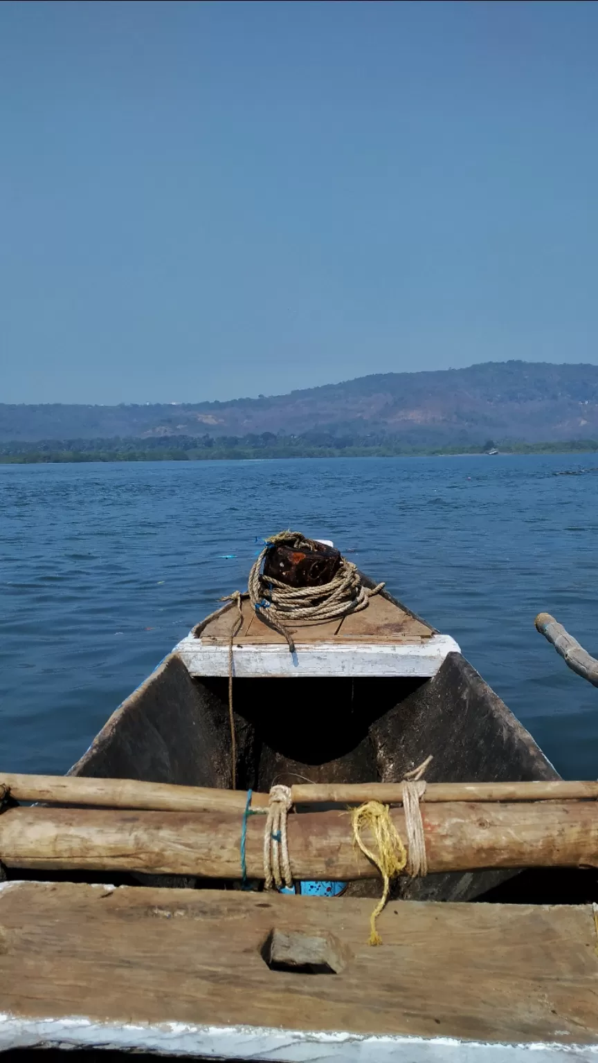 Photo of The best solo trip for a Nature Lover in Maharashtra. Olive Ridley Turtles, Beautiful Beaches, etc by Subheg Singh