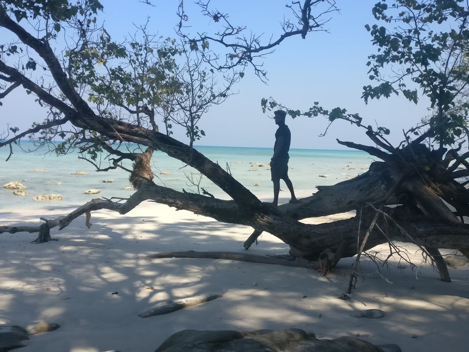 Photo of 6 days in the islands of Bay of Bengal by Vivek Mahto