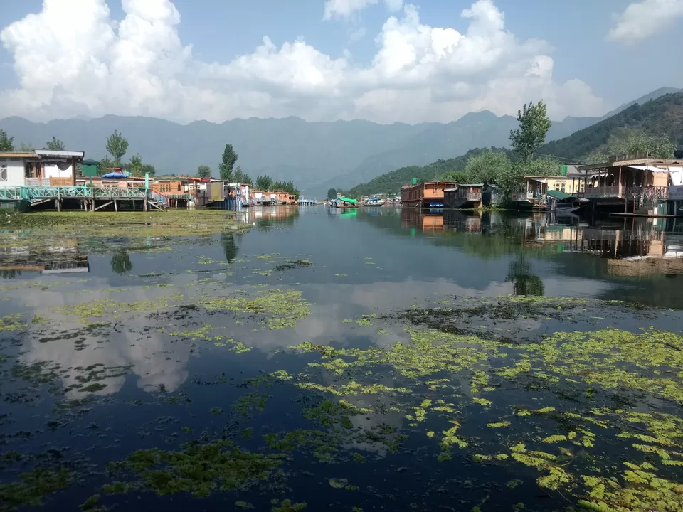 Photo of Srinagar by Vivek Mahto