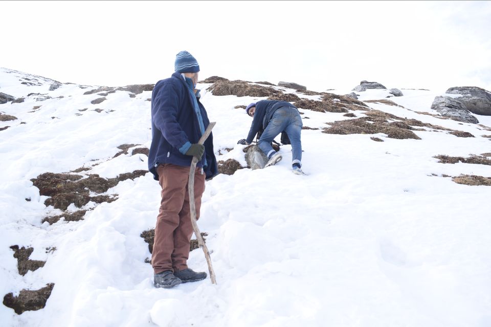 Photo of Kedarkantha - Journey to gods own land by Saivivek Kalivemula