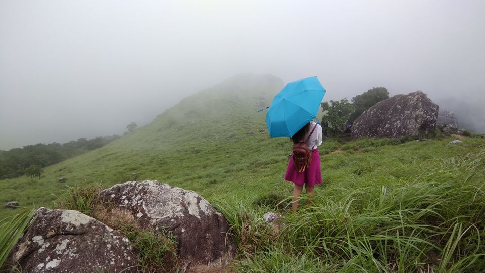 Photo of Enchanting Ponmudi Hills of Kerela by Saivivek Kalivemula