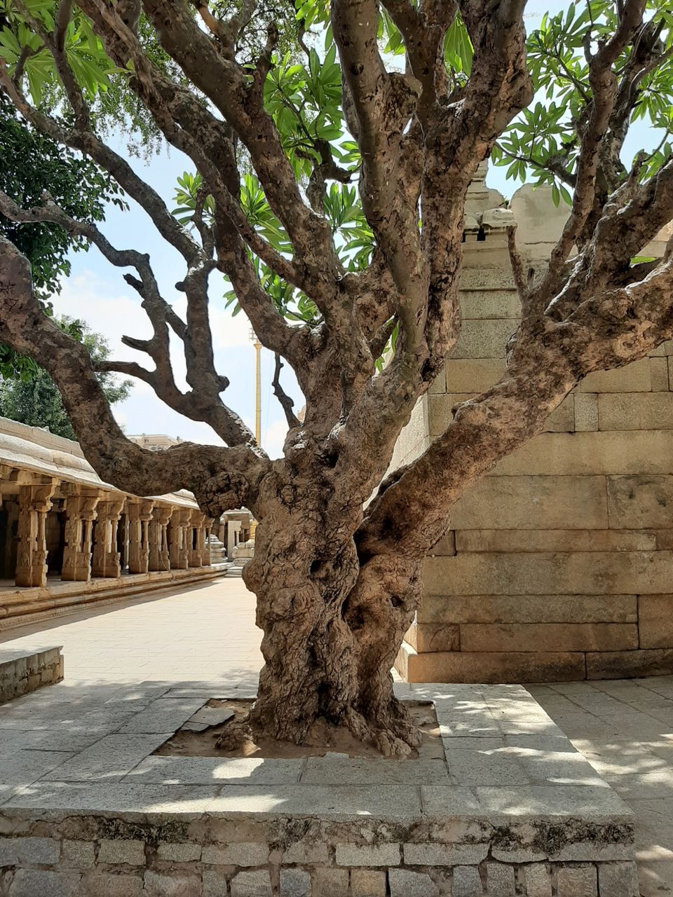 Photo of Lepakshi Nandi and historical Veerabhadra Temple by Saivivek Kalivemula