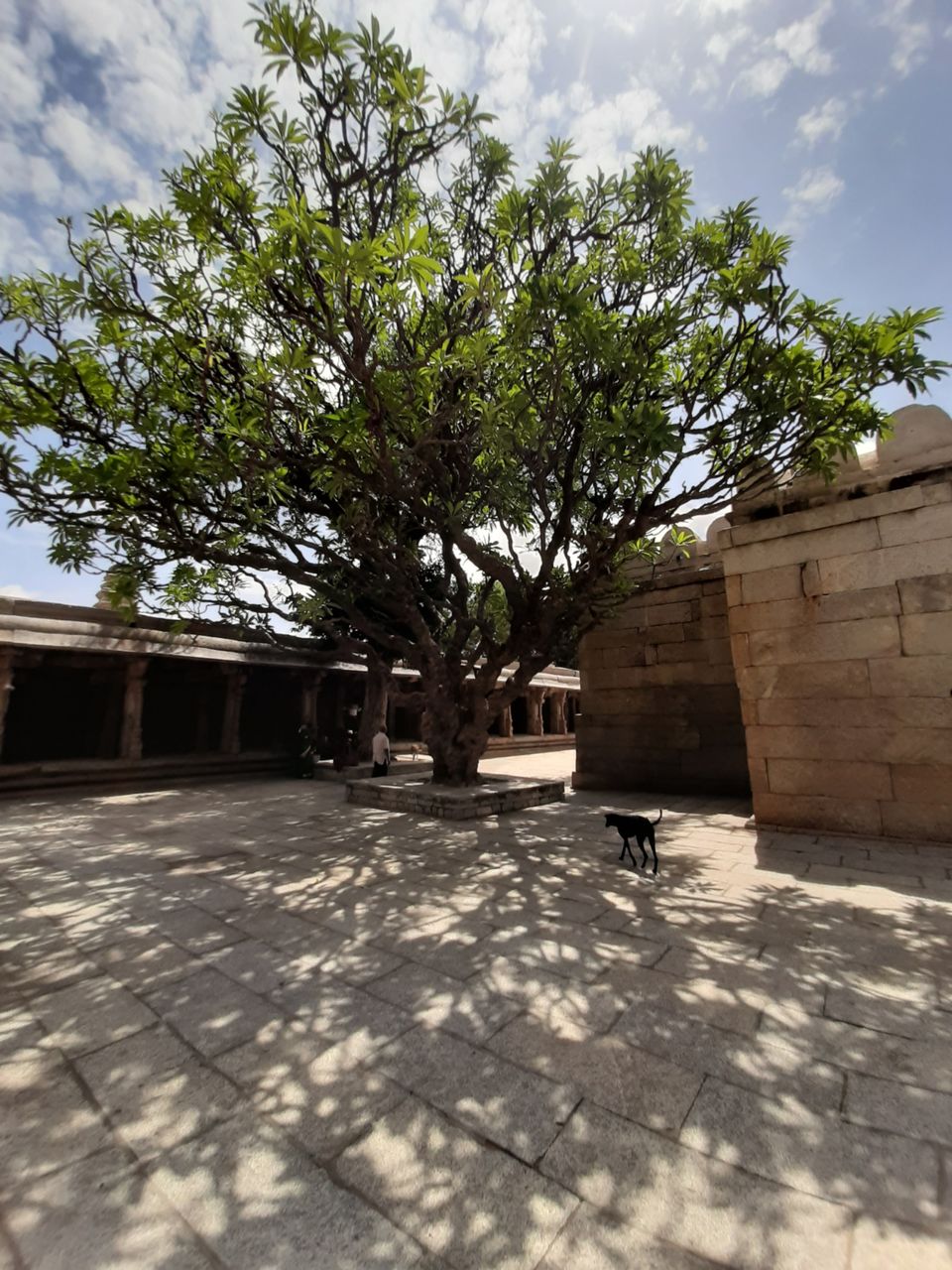 Photo of Lepakshi Nandi and historical Veerabhadra Temple by Saivivek Kalivemula