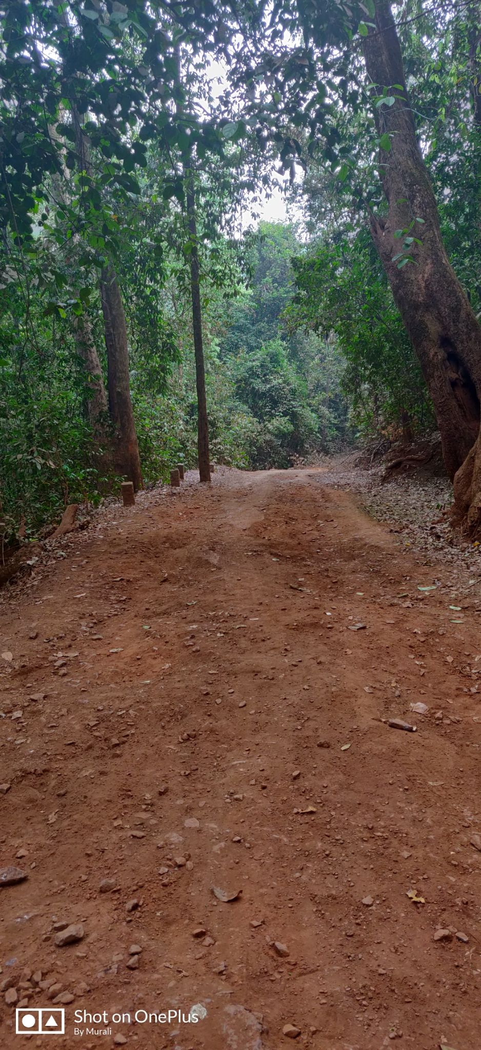 Photo of Yana Caves, Yana, Karnataka by Murali Ramesh