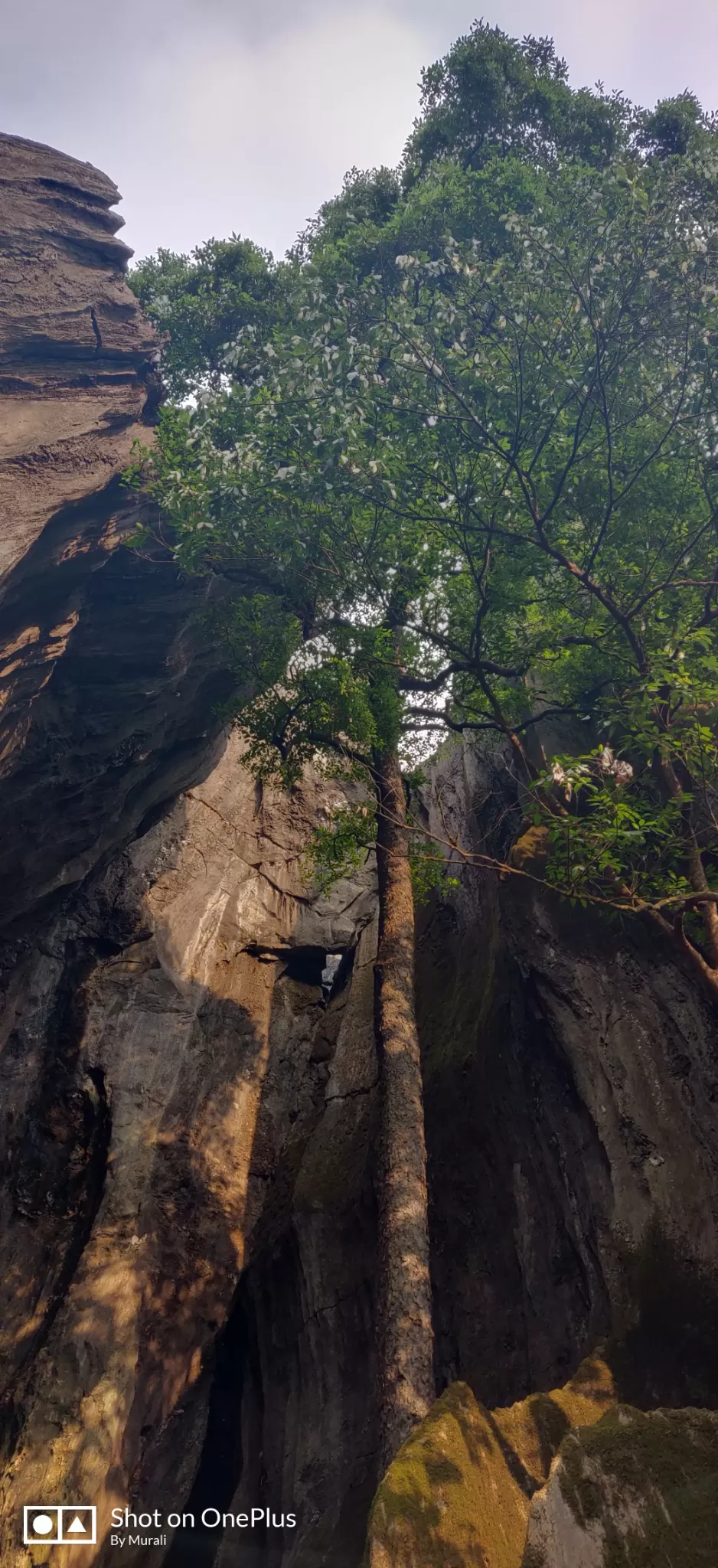 Photo of Yana Caves, Yana, Karnataka by Murali Ramesh