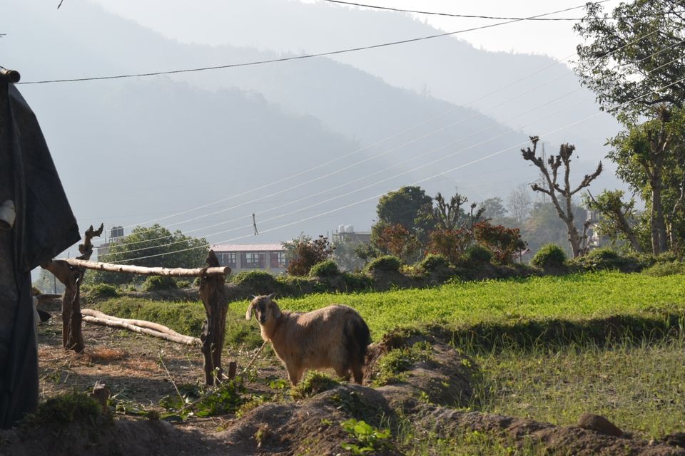 Photo of My travel story' Rishikesh ,.. by Vamshi Krishna