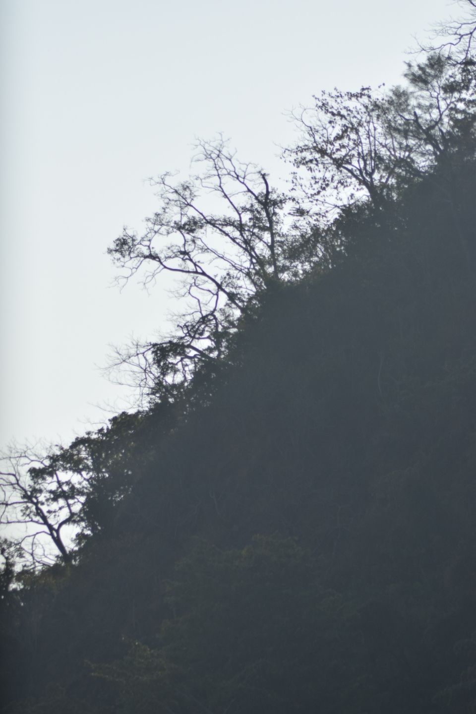 Photo of My travel story' Rishikesh ,.. by Vamshi Krishna