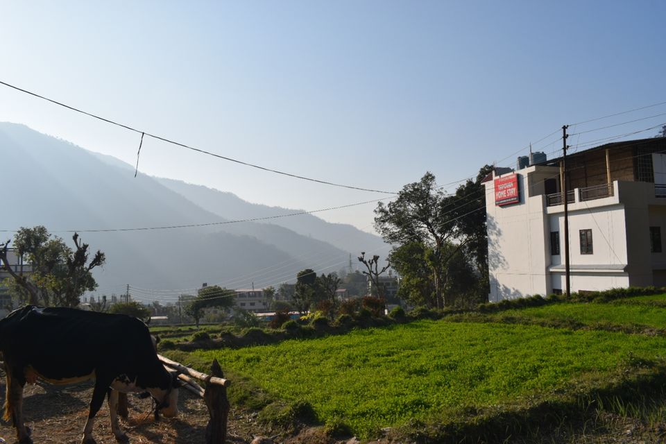 Photo of Ram Jhula, Swarg Ashram, Rishikesh, Uttarakhand, India by Vamshi Krishna