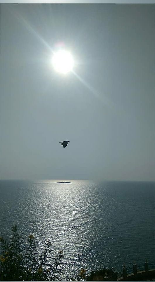 Photo of Murudeshwar Temple, Murdeshwar Temple Main Road, Murdeshwar, Karnataka, India by Vamshi Krishna