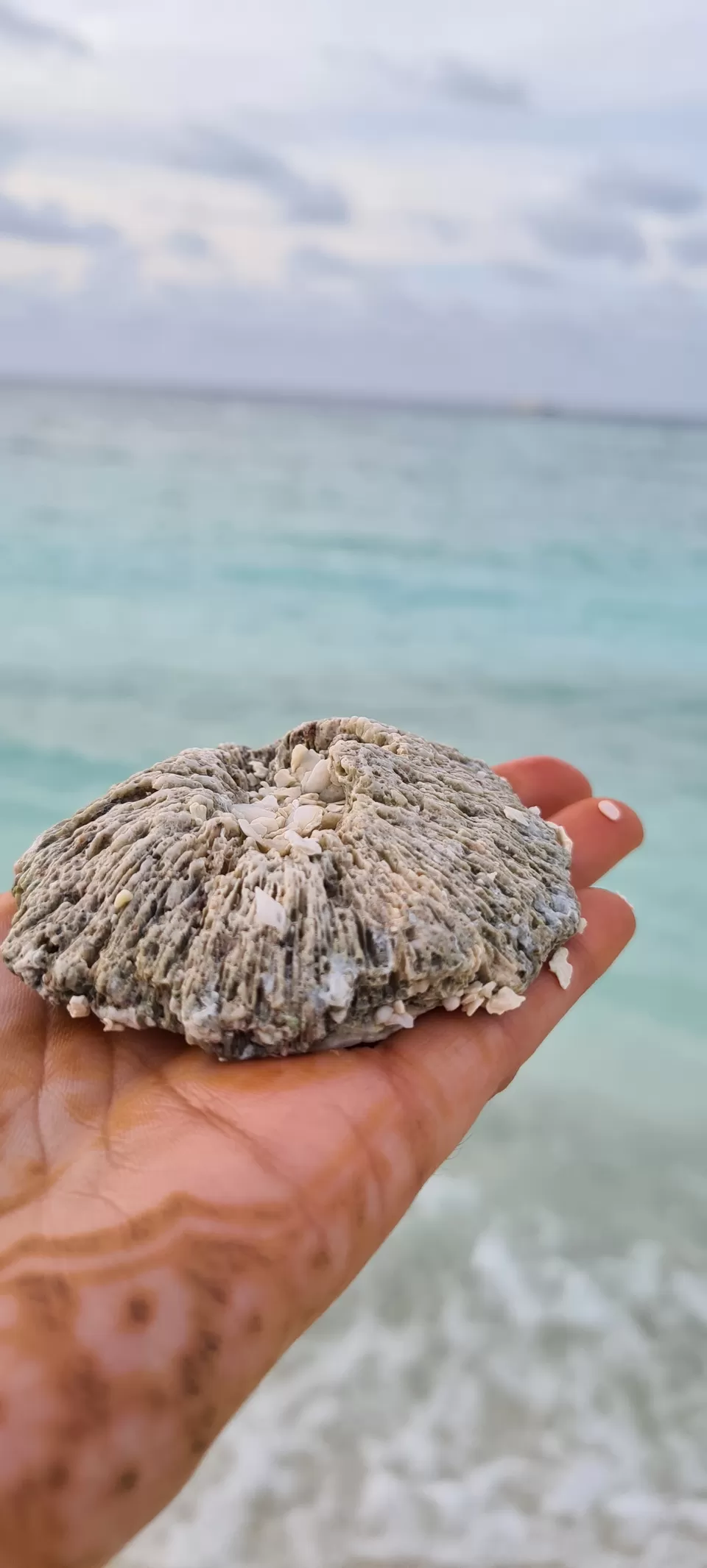 Photo of Dhiggiri, Maldives by Peripatetic_ss