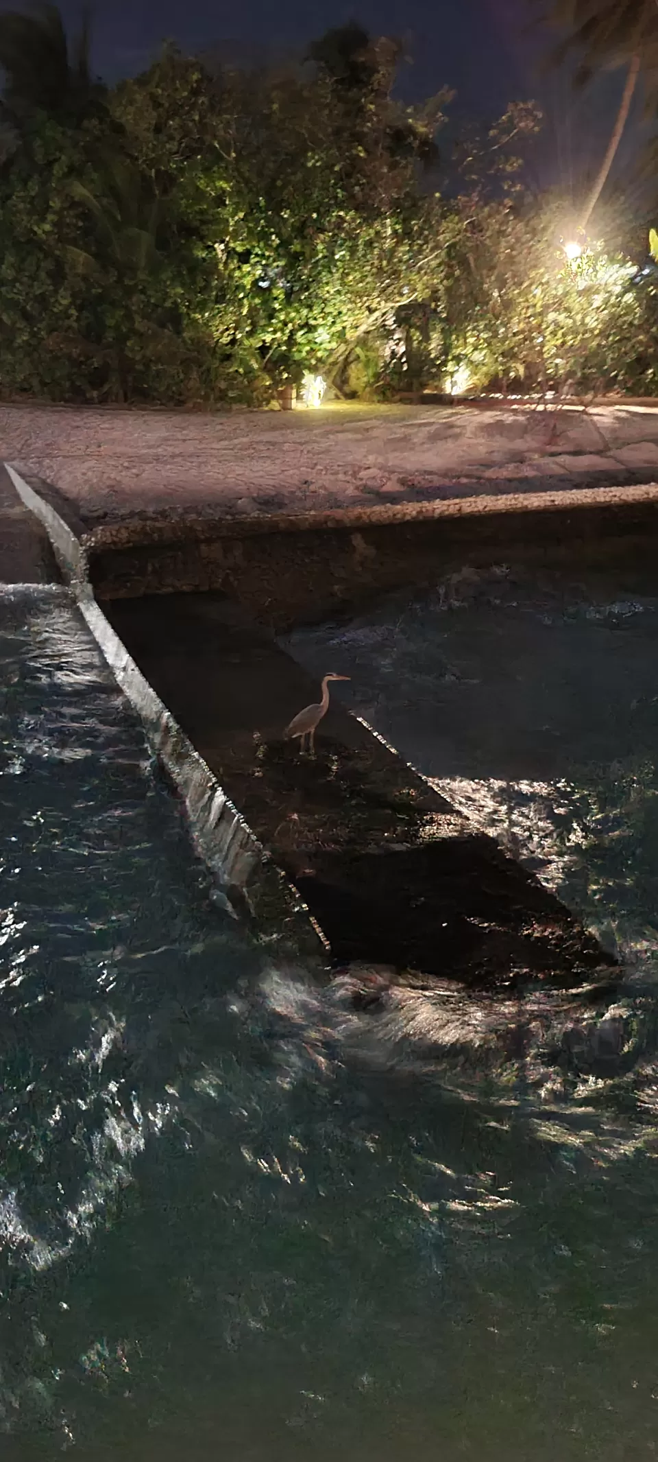 Photo of Dhiggiri, Maldives by Peripatetic_ss