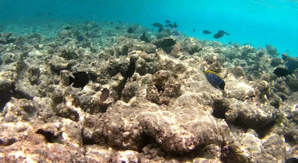 Photo of Dhiggiri, Maldives by Peripatetic_ss