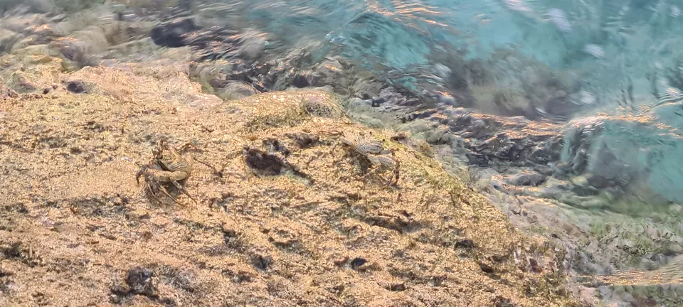 Photo of Dhiggiri, Maldives by Peripatetic_ss