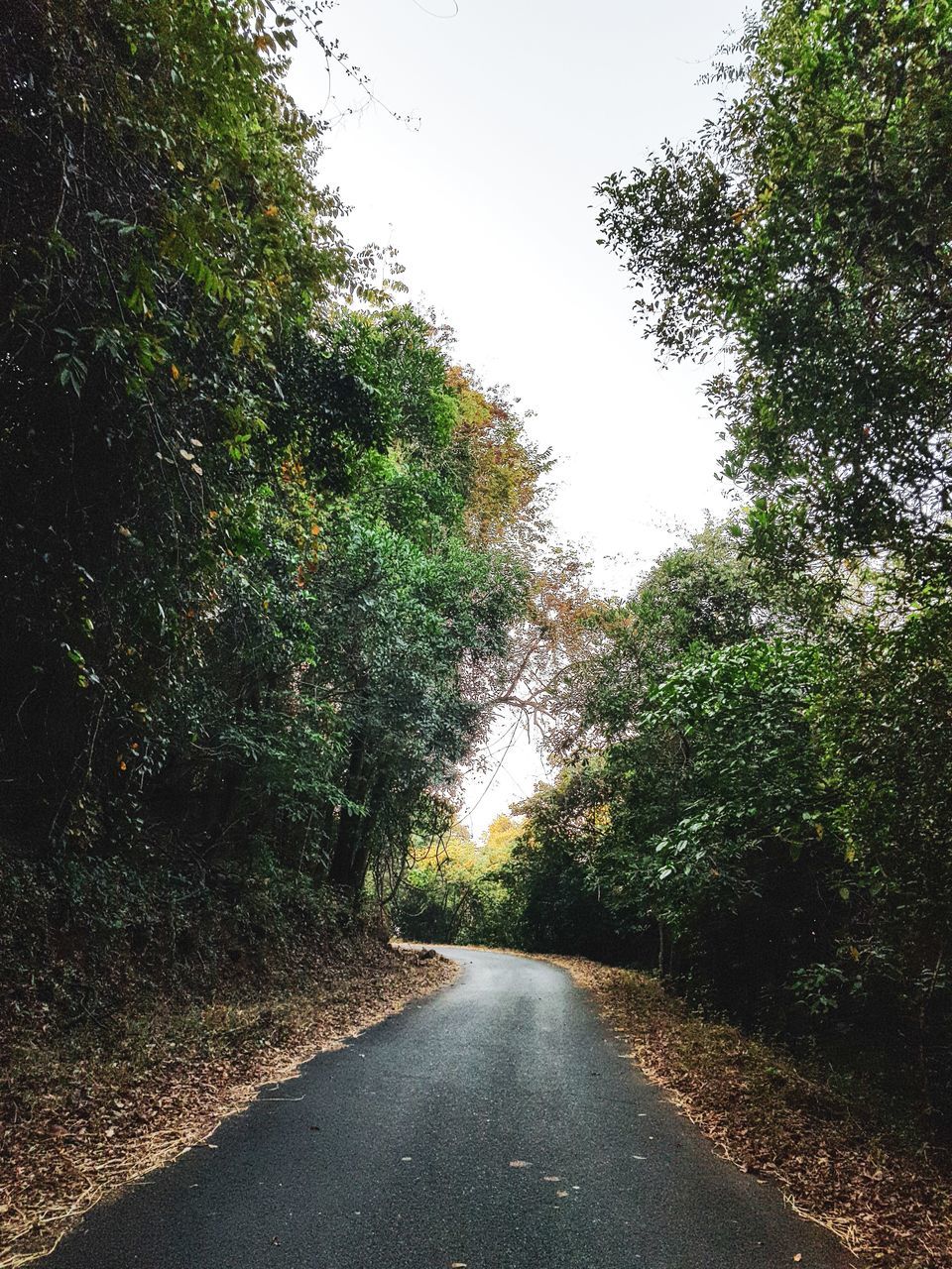 Photo of Netravali Wildlife Sanctuary, Verlem, Goa, India by Sreshti Verma