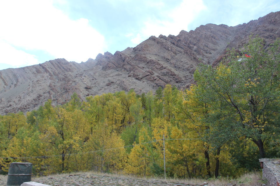 Photo of Everything you need to know about travelling to Hemis - The Abode of Tranquillity 2/5 by The_Budget_Backpacker