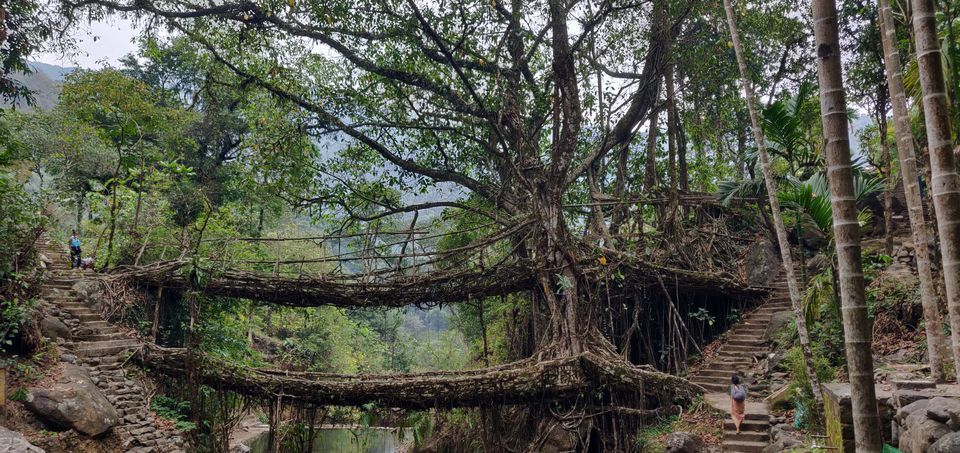 Photo of The Storyteller I Met on the Hike to the Double Decker Bridge in Meghalaya by Disha Kapkoti