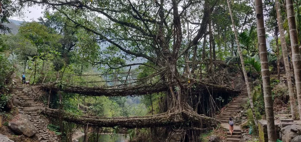 Photo of The Storyteller I Met on the Hike to the Double Decker Living Root Bridge in Meghalaya by Disha Kapkoti