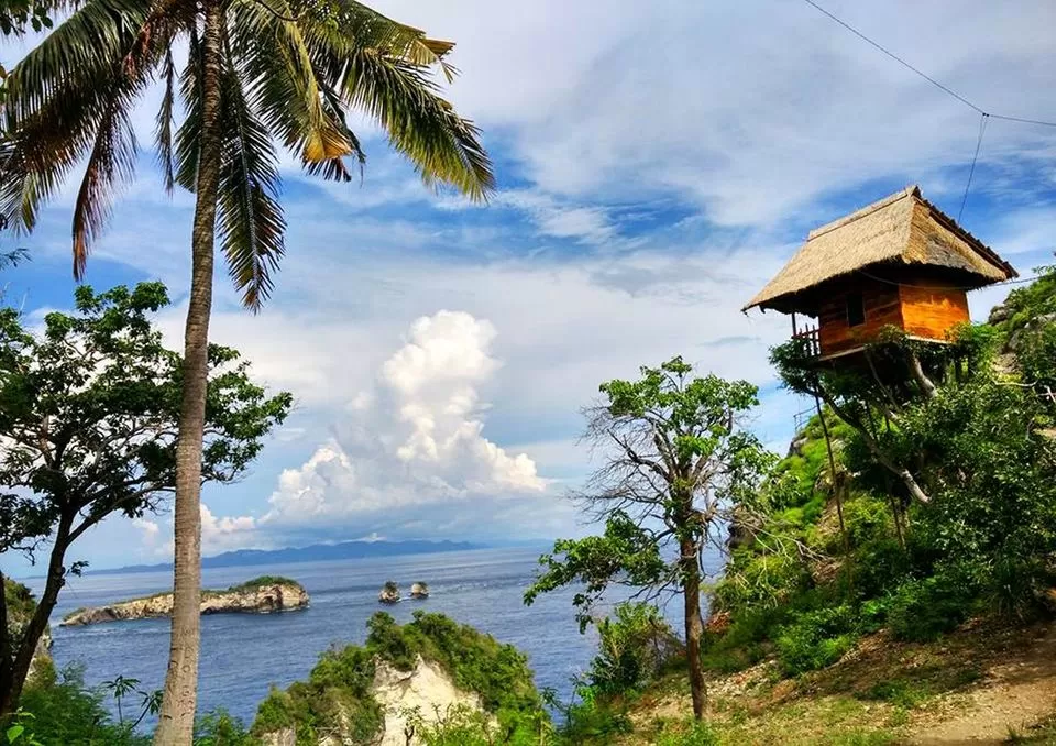 Photo of Thinking Bali? These Tree-Houses Under 3000 Will Light Up Your IG Feed! by Palak Doshi