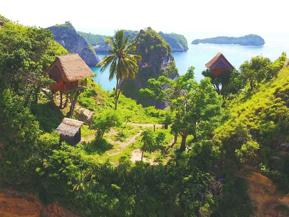 Photo of Thinking Bali? These Tree-Houses Under 3000 Will Light Up Your IG Feed! by Palak Doshi
