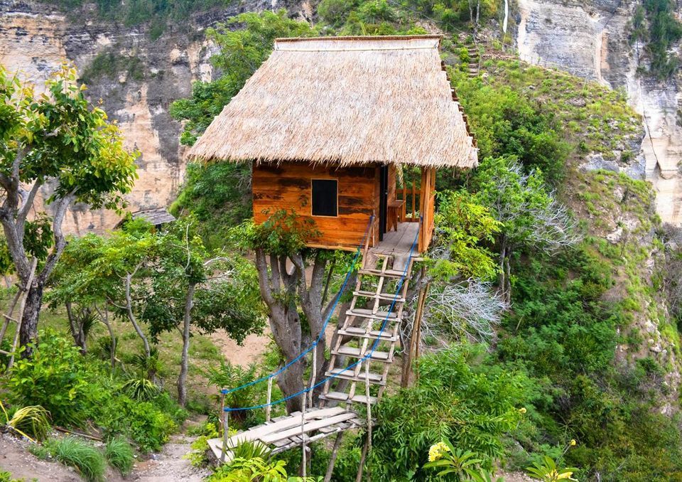 Photo of Thinking Bali? These Tree-Houses Under 3000 Will Light Up Your IG Feed! by Palak Doshi