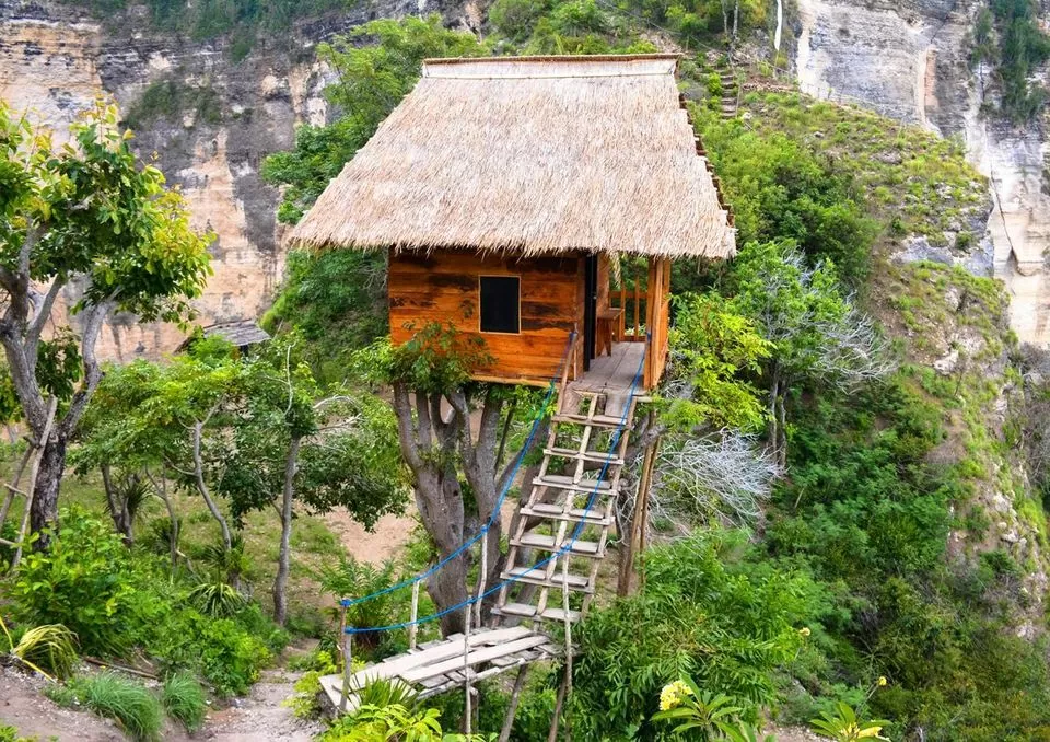 Photo of Thinking Bali? These Tree-Houses Under 3000 Will Light Up Your IG Feed! by Palak Doshi