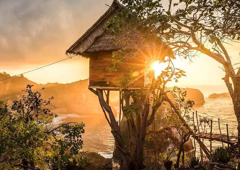 Photo of Thinking Bali? These Tree-Houses Under 3000 Will Light Up Your IG Feed! by Palak Doshi