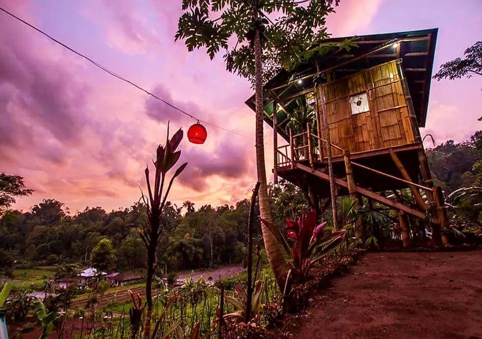Photo of Thinking Bali? These Tree-Houses Under 3000 Will Light Up Your IG Feed! by Palak Doshi