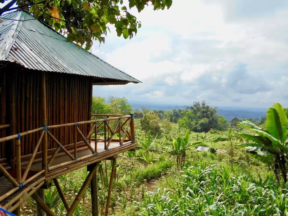 Photo of Thinking Bali? These Tree-Houses Under 3000 Will Light Up Your IG Feed! by Palak Doshi