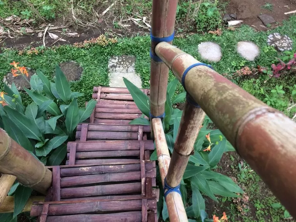Photo of Thinking Bali? These Tree-Houses Under 3000 Will Light Up Your IG Feed! by Palak Doshi