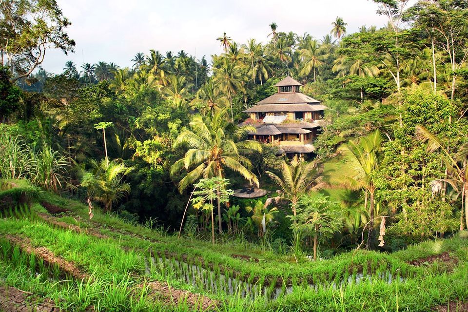 Photo of Thinking Bali? These Tree-Houses Under 3000 Will Light Up Your IG Feed! by Palak Doshi