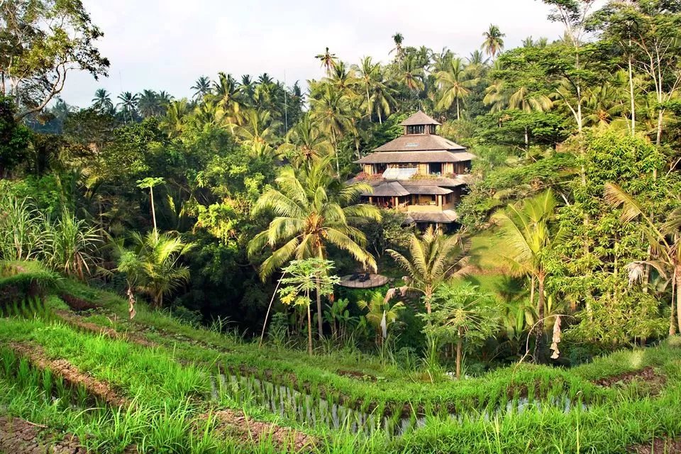 Photo of Thinking Bali? These Tree-Houses Under 3000 Will Light Up Your IG Feed! by Palak Doshi