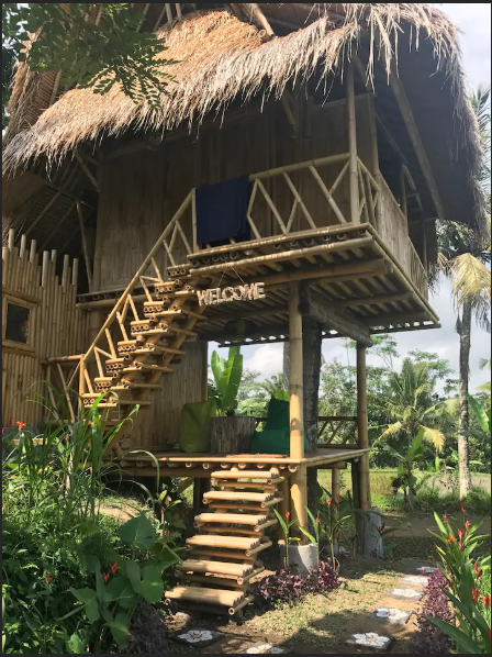 Photo of Thinking Bali? These Tree-Houses Under 3000 Will Light Up Your IG Feed! by Palak Doshi