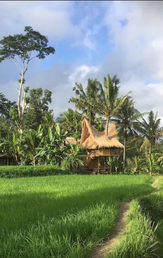Photo of Thinking Bali? These Tree-Houses Under 3000 Will Light Up Your IG Feed! by Palak Doshi